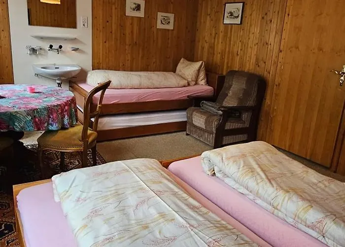 Alphenrose ホテル Saxeten