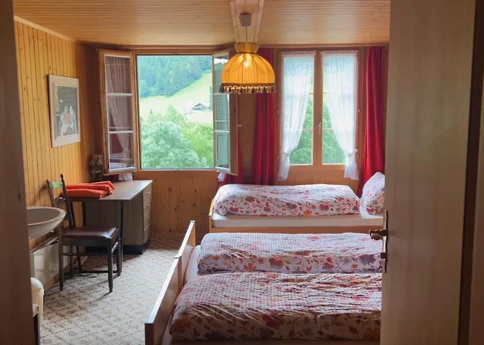 Alphenrose ホテル Saxeten